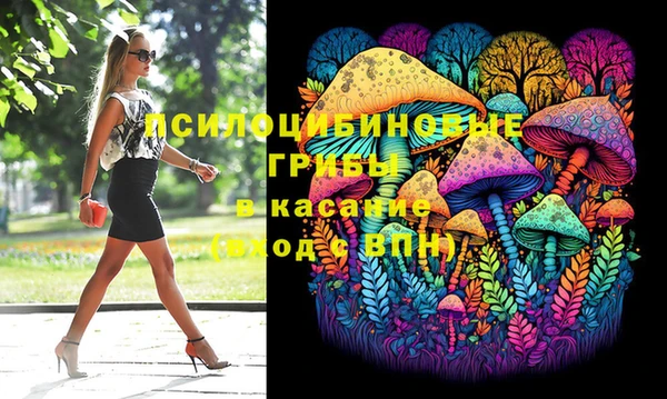 стафф Алексин