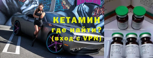 стафф Алексин