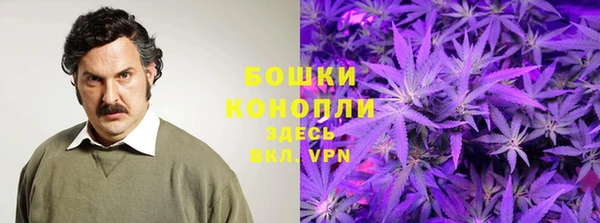 альфа пвп Горнозаводск
