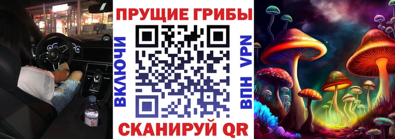 купить наркотик  Бийск  мориарти как зайти  Псилоцибиновые грибы мухоморы 